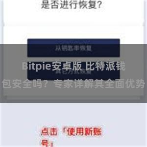 Bitpie安卓版 比特派钱包安全吗？专家详解其全面优势