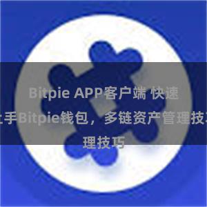 Bitpie APP客户端 快速上手Bitpie钱包，多链资产管理技巧