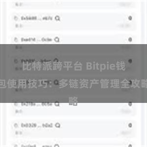 比特派跨平台 Bitpie钱包使用技巧：多链资产管理全攻略