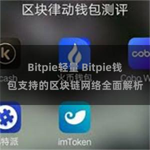 Bitpie轻量 Bitpie钱包支持的区块链网络全面解析