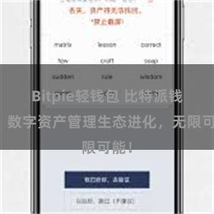 Bitpie轻钱包 比特派钱包：数字资产管理生态进化，无限可能！