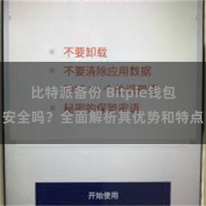 比特派备份 Bitpie钱包安全吗？全面解析其优势和特点