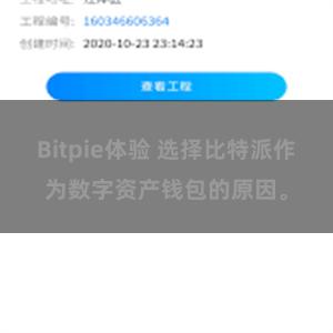 Bitpie体验 选择比特派作为数字资产钱包的原因。