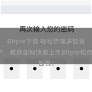 Bitpie下载 轻松管理多链资产，教你如何快速上手Bitpie钱包！