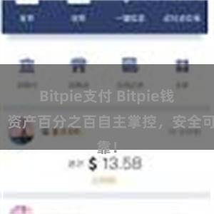 Bitpie支付 Bitpie钱包：资产百分之百自主掌控，安全可靠！