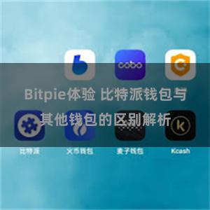Bitpie体验 比特派钱包与其他钱包的区别解析