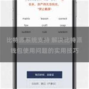 比特派系统支持 解决比特派钱包使用问题的实用技巧