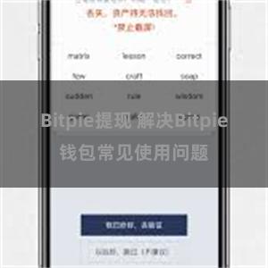 Bitpie提现 解决Bitpie钱包常见使用问题