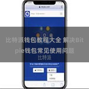 比特派钱包教程大全 解决Bitpie钱包常见使用问题