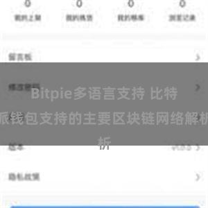 Bitpie多语言支持 比特派钱包支持的主要区块链网络解析