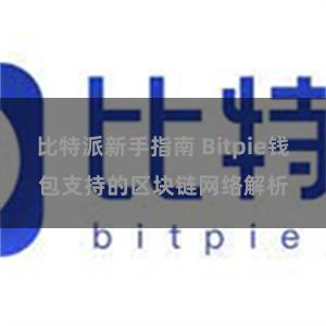 比特派新手指南 Bitpie钱包支持的区块链网络解析