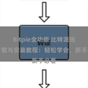 Bitpie全功能 比特派钱包下载与安装教程：轻松学会，新手必看