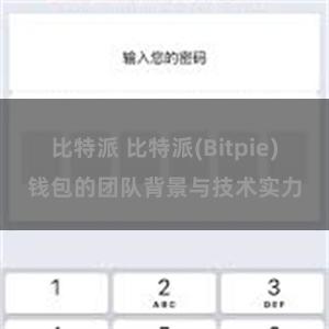 比特派 比特派(Bitpie)钱包的团队背景与技术实力