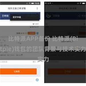 比特派APP备份 比特派(Bitpie)钱包的团队背景与技术实力