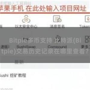 Bitpie多币支持 比特派(Bitpie)交易历史记录在哪里查看？