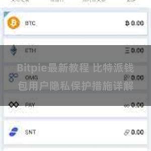 Bitpie最新教程 比特派钱包用户隐私保护措施详解