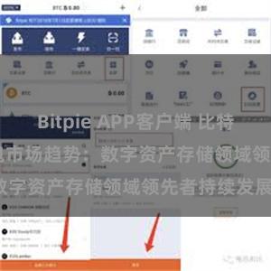 Bitpie APP客户端 比特派(Bitpie)钱包市场趋势：数字资产存储领域领先者持续发展。