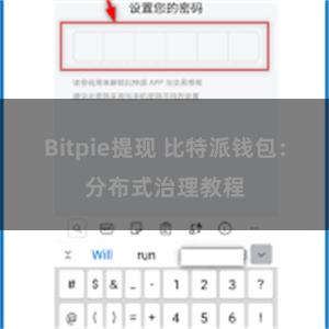 Bitpie提现 比特派钱包：分布式治理教程