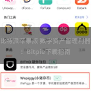 比特派苹果版 数字资产管理利器：Bitpie下载指南