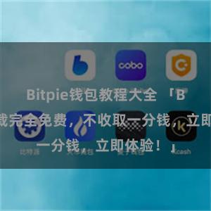 Bitpie钱包教程大全 「Bitpie下载完全免费，不收取一分钱，立即体验！」