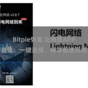 Bitpie恢复 比特派APP直连：一键连接，畅享极速网络