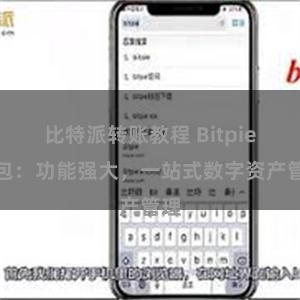 比特派转账教程 Bitpie钱包：功能强大，一站式数字资产管理