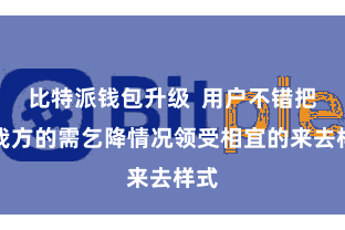 比特派钱包升级  用户不错把柄我方的需乞降情况领受相宜的来去样式
