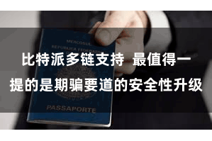 比特派多链支持  最值得一提的是期骗要道的安全性升级