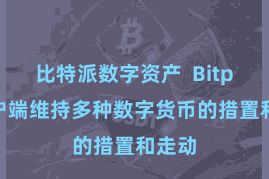 比特派数字资产  Bitpie客户端维持多种数字货币的措置和走动