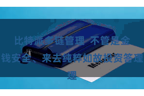 比特派多链管理  不管是金钱安全、来去纯粹如故投资答理