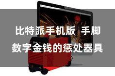 比特派手机版  手脚数字金钱的惩处器具