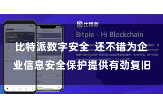 比特派数字安全  还不错为企业信息安全保护提供有劲复旧