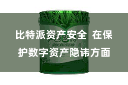 比特派资产安全  在保护数字资产隐讳方面