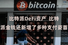 比特派DeFi资产  比特派金钱还新增了多种支付姿首