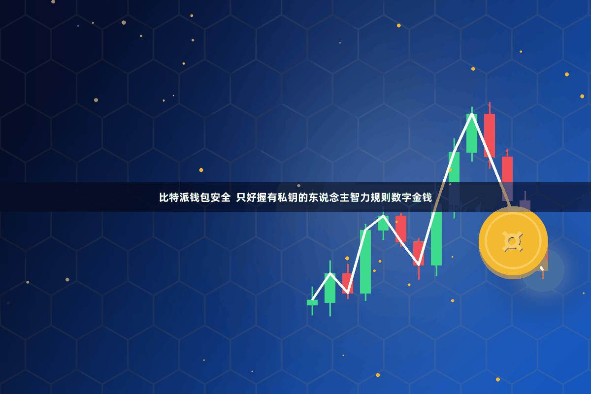 比特派钱包安全  只好握有私钥的东说念主智力规则数字金钱